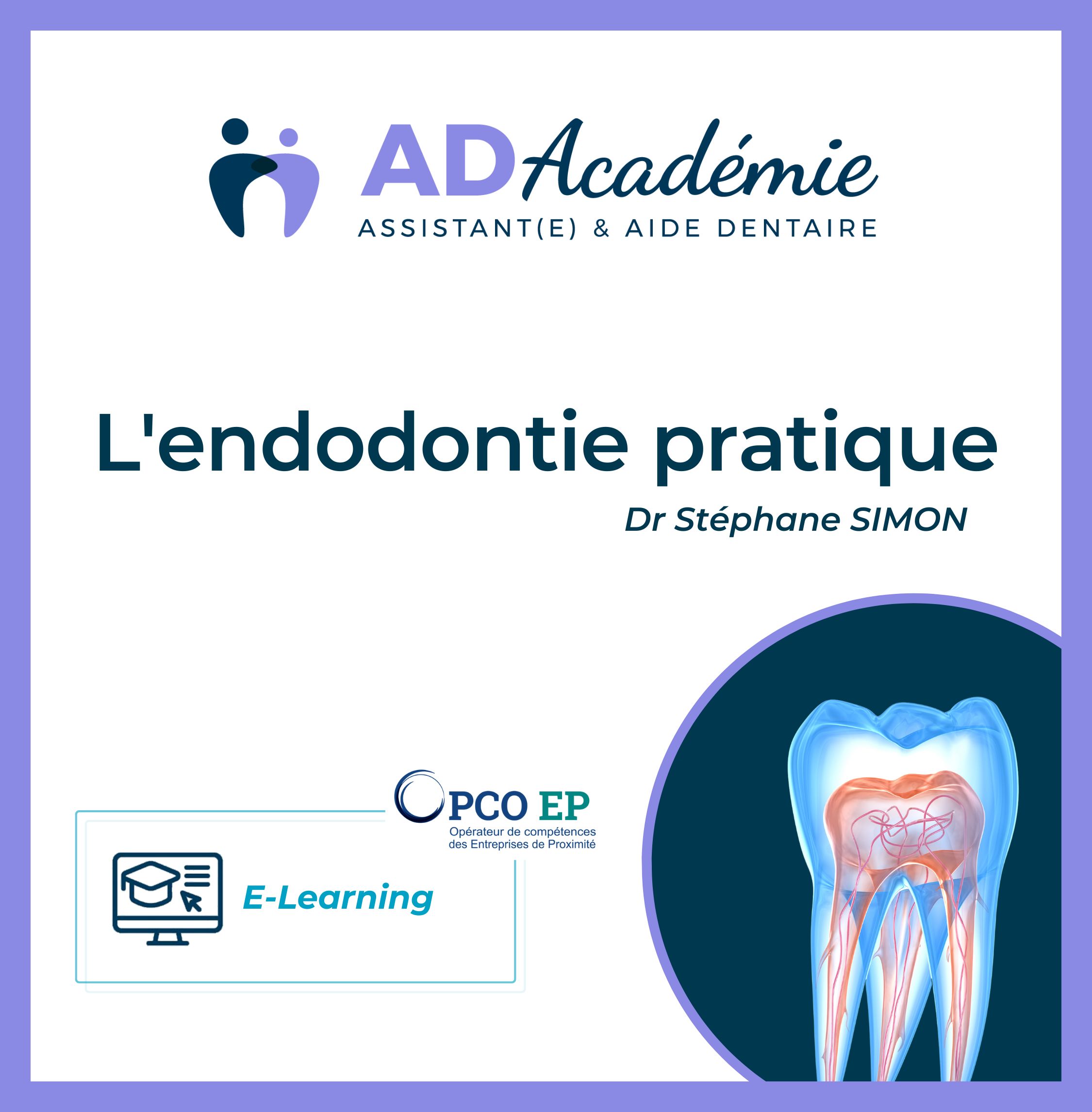 découvrez nos services de traitement endodontique à avignon pour soigner efficacement vos dents tout en préservant votre sourire. expertise et confort garantis.