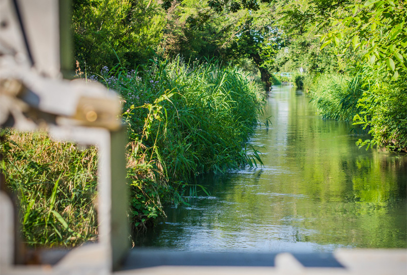 découvrez nos traitements de canal à avignon, effectués par des professionnels pour soigner vos dents avec efficacité et confort.